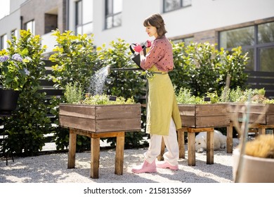 Preparing Your Garden for Winter: A Cozy Homest...