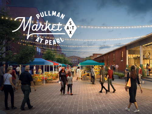 Amelia Stone in the Hotel Emma Library