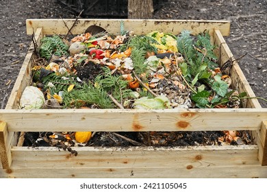 Thriving garden with vegetables rich soil