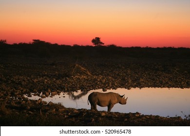 A close-up of the texture and color of the sand dunes in Sossusvlei, emphasizing the wind-sculpted patterns. Shot in the golden hour for enhanced detail. The composition is abstract and artistic.