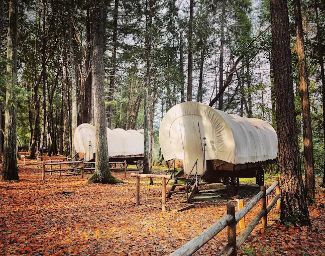 A beautiful, large campground with RV's and tents visible amongst the trees