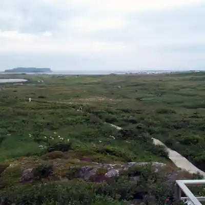 Image showcasing the Fogo Island community with local residents and Inn staff