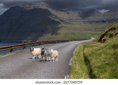 # Faroe Islands: A Solo Female Adventure in the La...