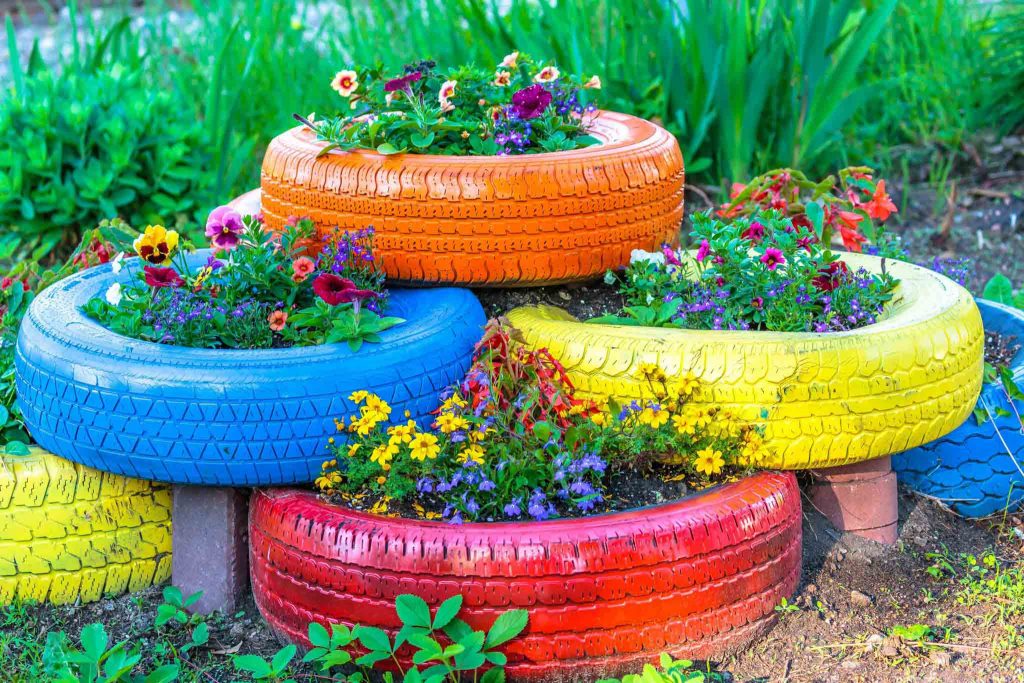 old tire planters flower growing
