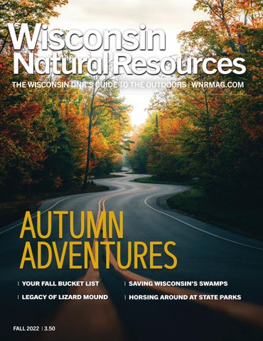 Autumn's Bounty: 5 Delicious Ways to Preserve Y...