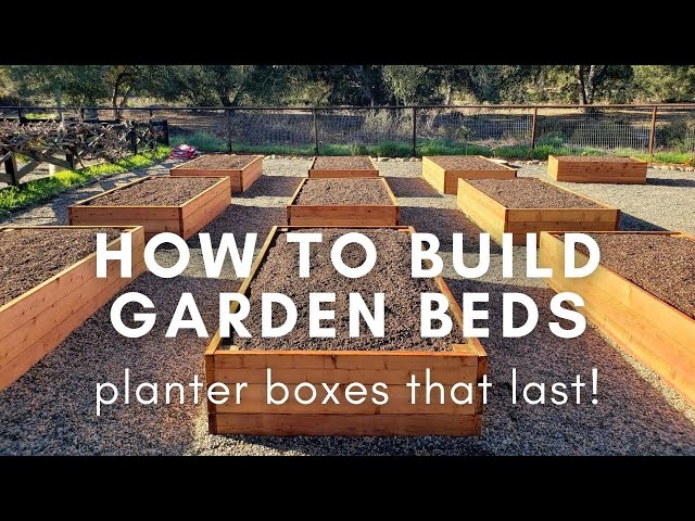 Level Up Your Homestead: Build a Beginner-Friend...