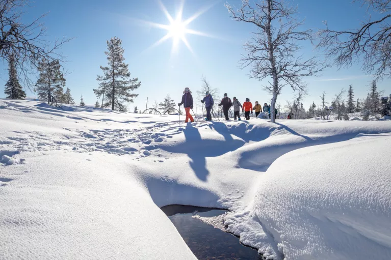 # Explore Norway's Winter Wonderland: From Norther...