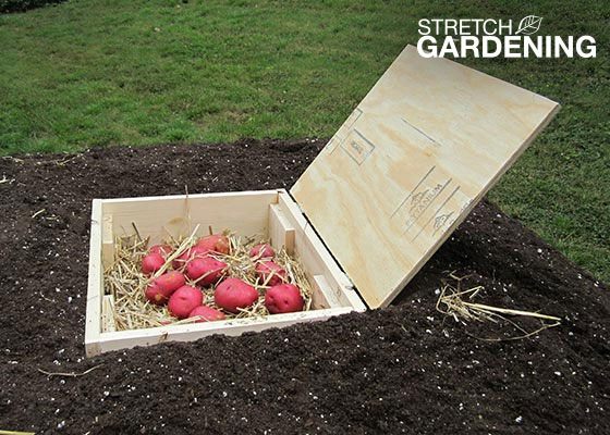 Example of a very compact and minimalist root cellar design