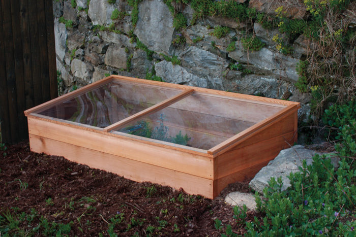 variety of herbs vegetables cold frame