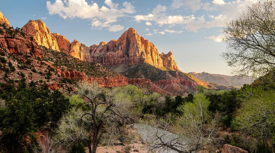 Navigating the narrow, sculpted walls of Orderville Canyon in Zion's The Narrows, Utah. #Canyoneering #TheNarrows #ZionAdventure