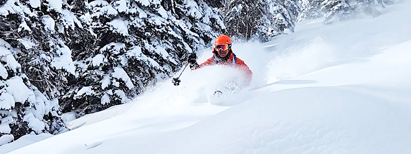 A group of skiers ascending a snowy mountain in Rogers Pass, with dense evergreen trees in the background.