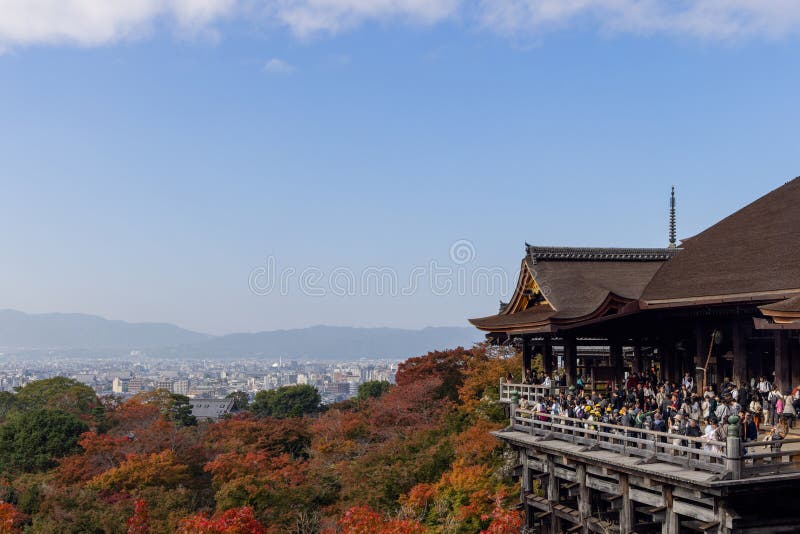 A chef at Kikunoi meticulously arranging ingredients on a Kaiseki platter