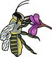 Beyond Flowers: Building a Pollinator Oasis with...