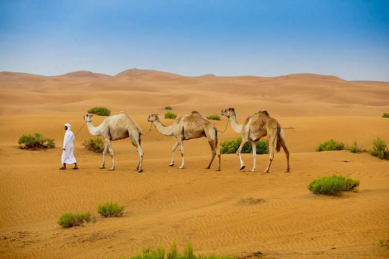 Towering sand dunes in the Empty Quarter, perfect for capturing minimalist and dramatic landscape photos.