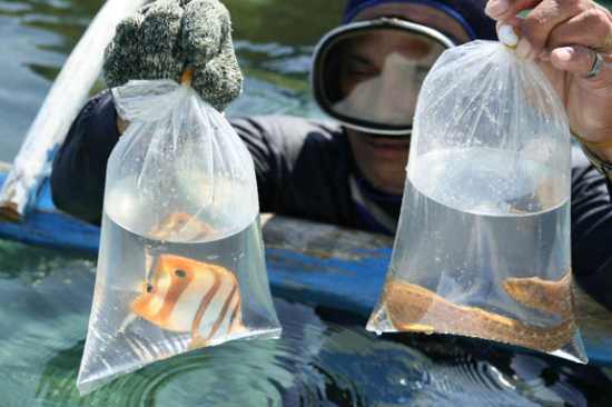 Puerto Princesa Underground River