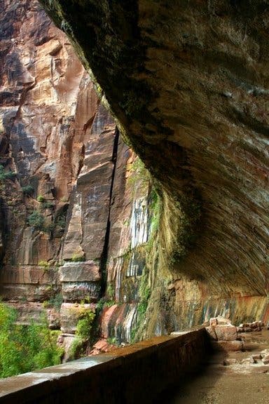 Many Pools Trail Zion National Park