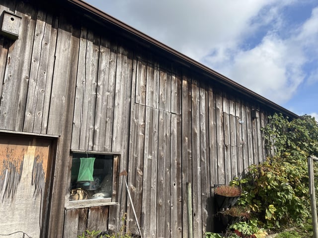 Neglected Barn Siding