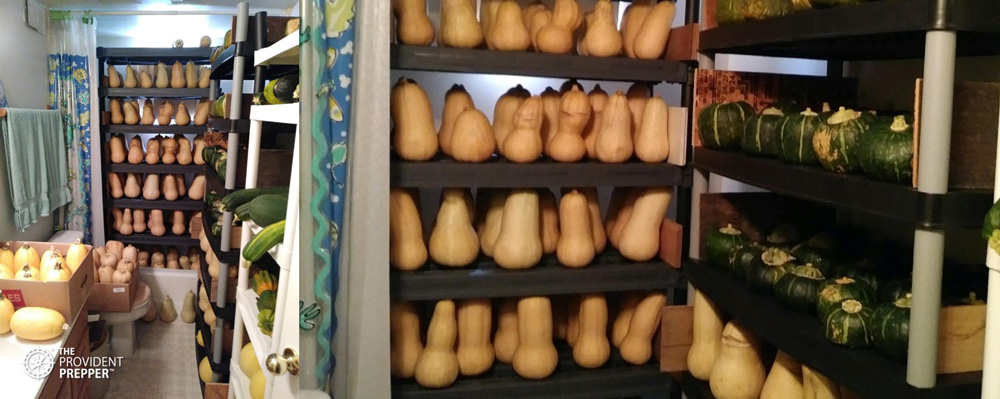 Winter Squash Storage