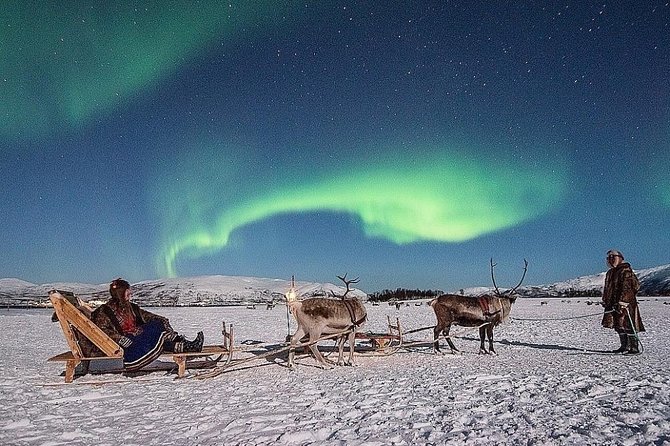 A Sami guide leading a reindeer sled through a snow-covered landscape under the Northern Lights, showcasing the blend of cultural immersion and natural beauty.