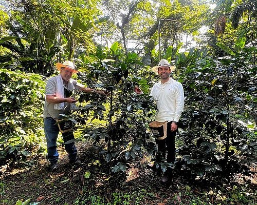 Coffee making process