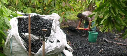 Close-up image chunks of biochar