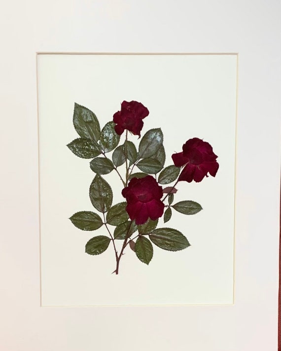 Pressed Garden Treasures: Creating Botanicalcore...