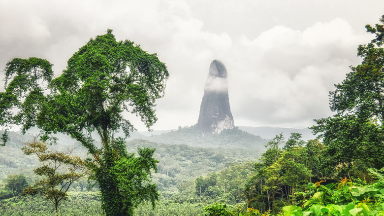 Aerial shot of the pristine Praia Banana beach showing clear blue waters and lush green vegetation