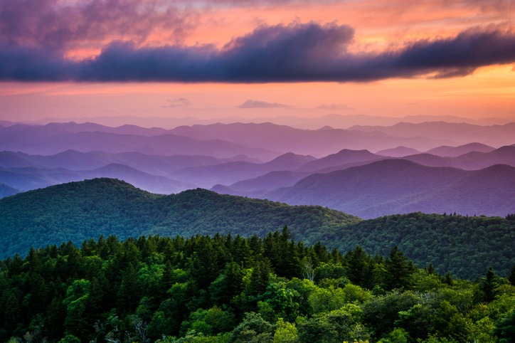 # Asheville for Digital Nomads: Gigabit Internet,...
