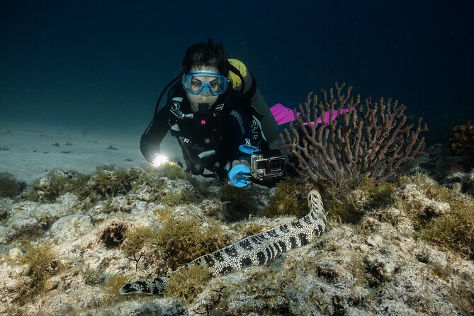 A group of villagers in a Kastom Village, dressed in traditional attire and performing a cultural dance.