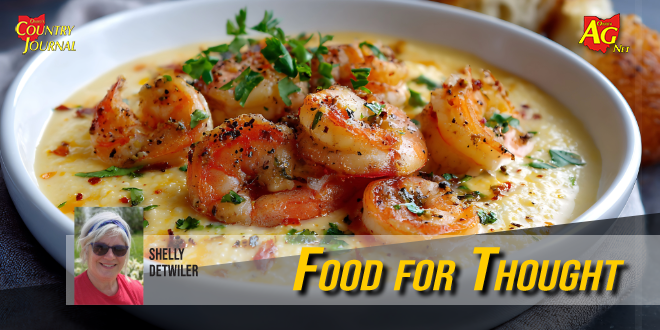 Forsyth Park Fountain