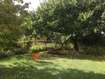 Fall Garden