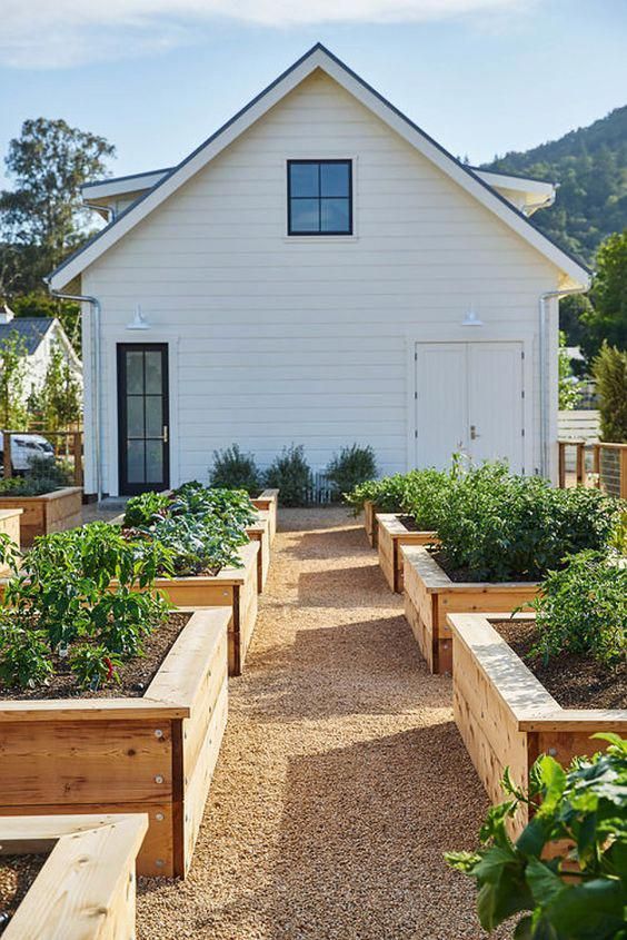A cozy farmhouse kitchen with jars of homemade canned tomatoes on the shelves, showcasing the rewards of preserving your summer harvest.