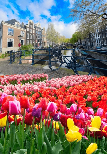 A cup of coffee sits on a weathered wooden table in Ett Hem's sun-drenched garden.