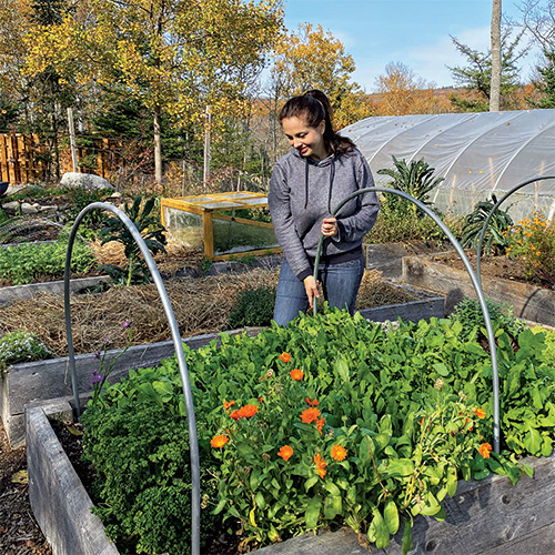 Cozy Crops: Building a Simple Hoop House for Wi...