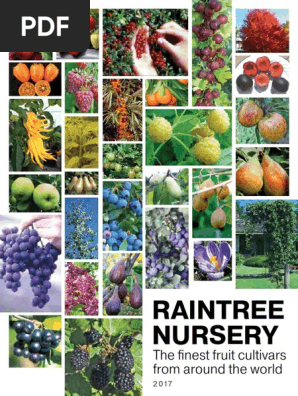illustration of a diverse permaculture garden with forgotten fruit trees and bushes