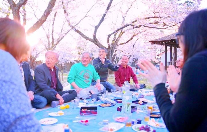 Kyoto cityscape during cherry blossom season