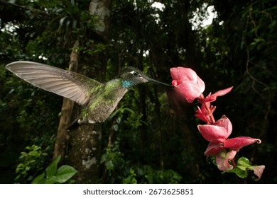 Interior of the Hummingbird Haven treehouse, showing the open design and large windows