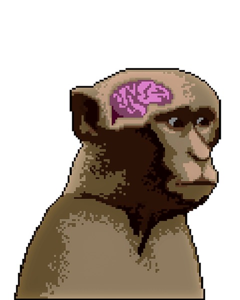 Inevitable Solana FOMO Meme