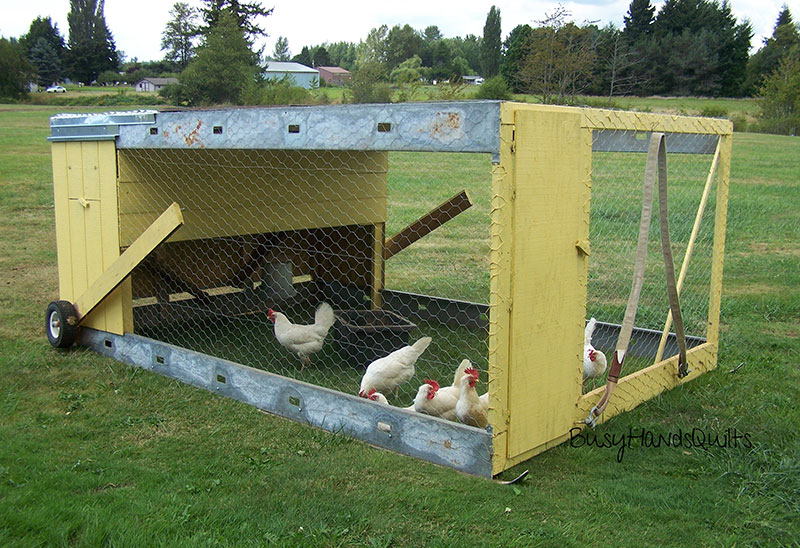 Transform Your Homestead: Build a Chicken Tract...