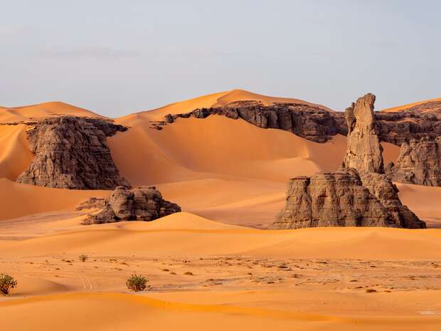 Unique Desert Landscapes