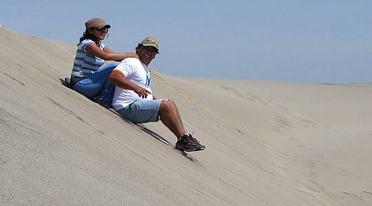 Indian Fox in Thar Desert