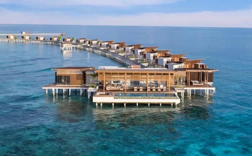 A couple kayaking on the ocean at night with the bioluminescent water glowing beneath them