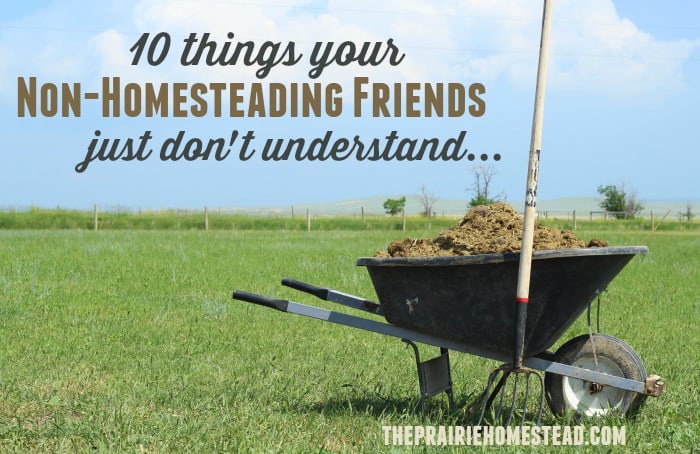 Embracing the Cozy: A Homestead Winter Cleaning...