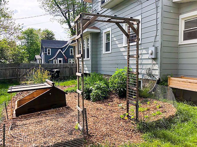 ladder trellis