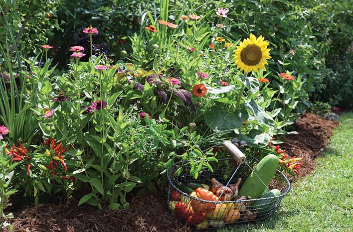 From Lawn to Lunch: Transforming Your Yard into...