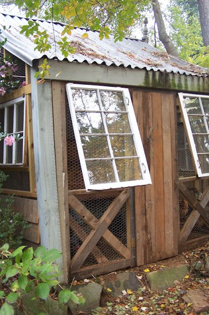 A close up of a hen house interior showing nesting boxes
