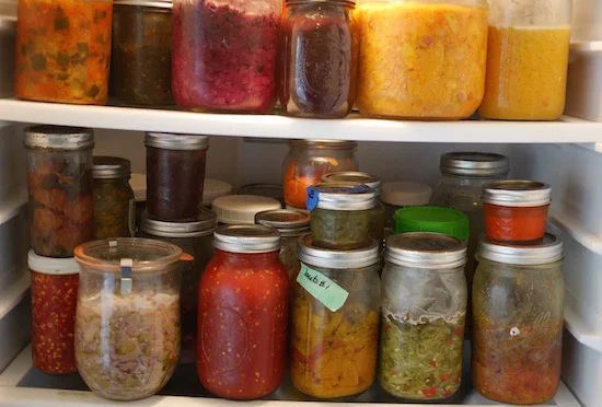 From Seed to Supper: A Beginner's Guide to Grow...
