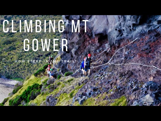 # Lord Howe Island: An Ecotourism Paradise You Won...