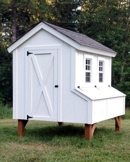 Chickens in a backyard coop.