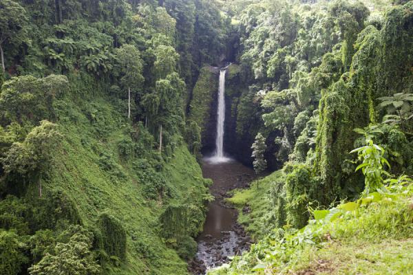 # Samoa Solo: A Sustainable Adventure on Upolu

Th...